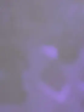 REVERSE_의 オオカミ少女と黒王子