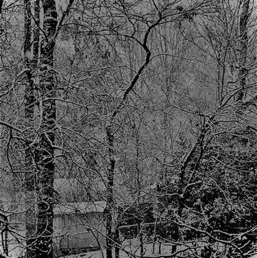 FussyPast3274의 Saint Beckham Carter