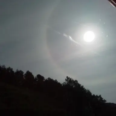 Profile image of 준브레드