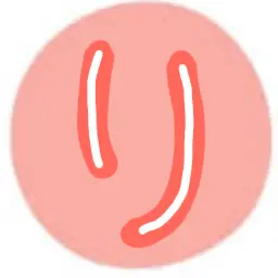 Profile image of 宮舘涼太