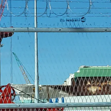 Profile image of 세월호 기장