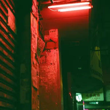 Profile image of 플 래그