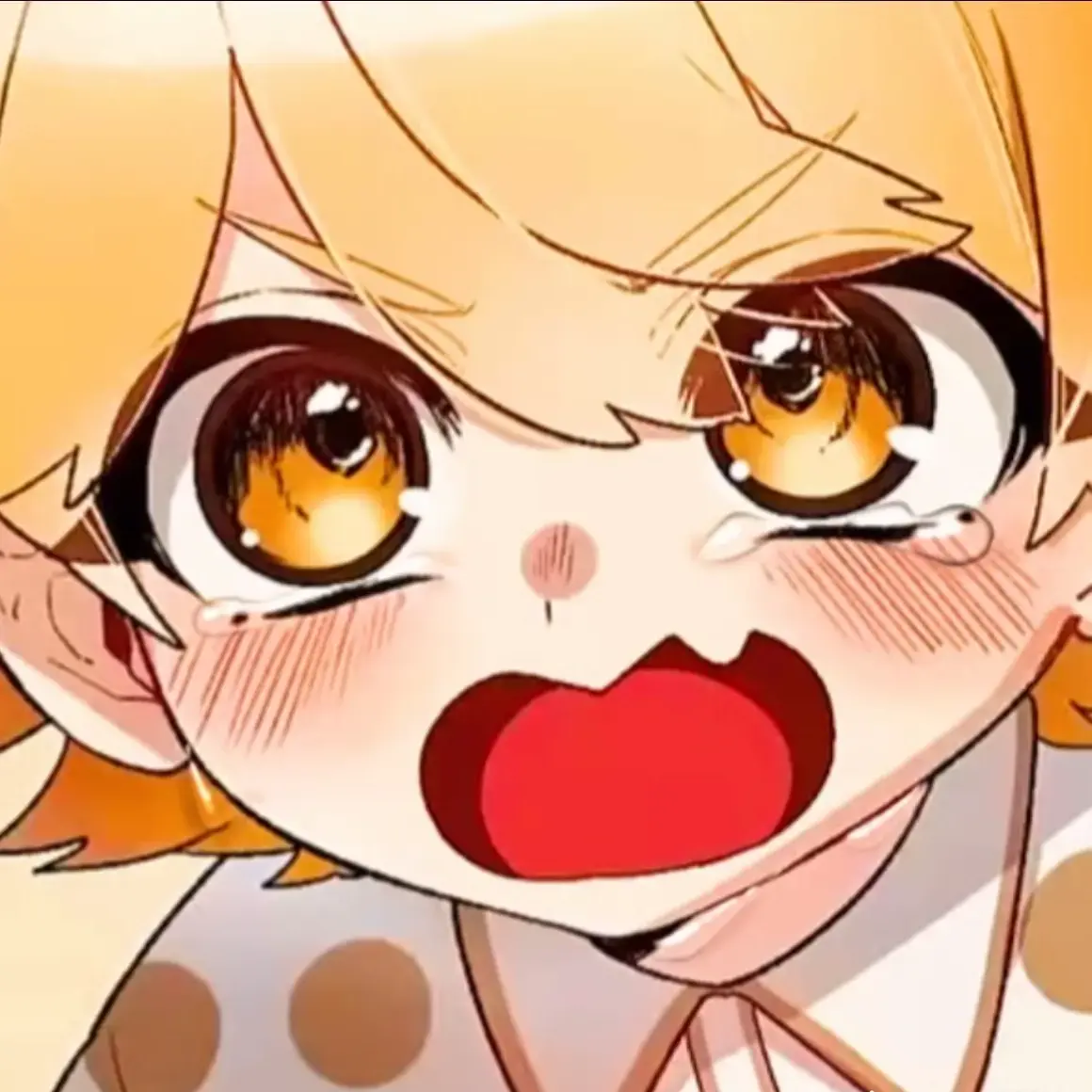 A-0411의 ちびっ子王子と姫の物語   .