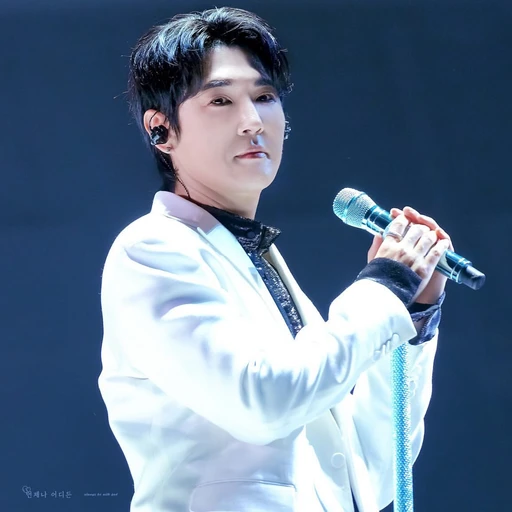 안데니