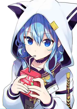 Profile image of 星街すいせい