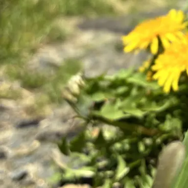 Profile image of 阿部 亮平