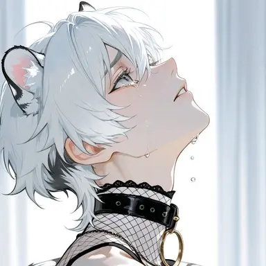 Profile image of ハク