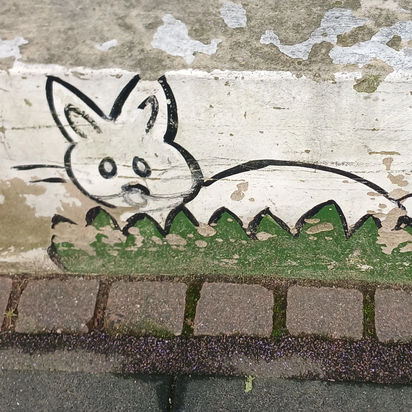 토깽이