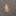 범건우