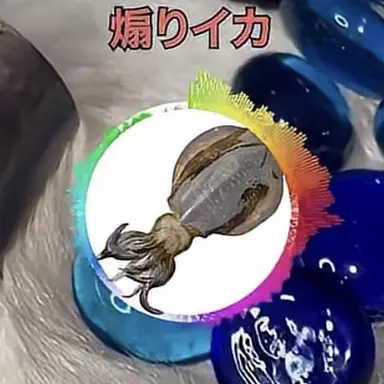 Profile image of 煽りイカ