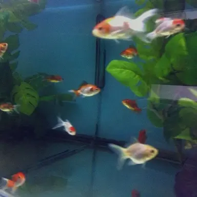 Profile image of 강현수