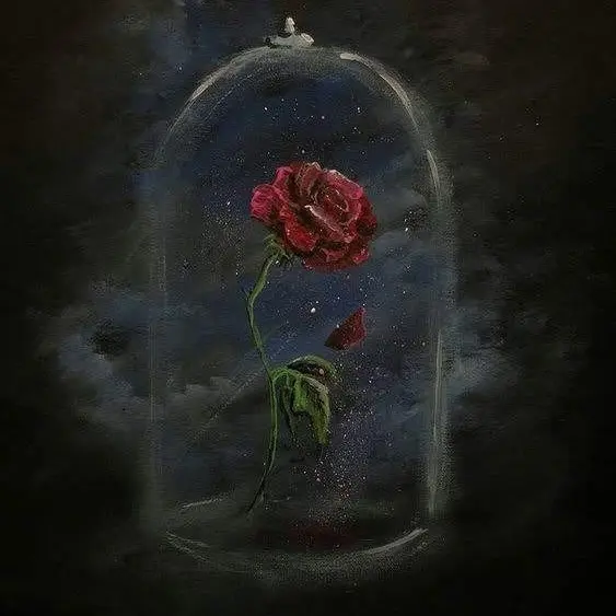 PLV.treasure_jin2580의 『 反轉 (반전) | 낙화 』