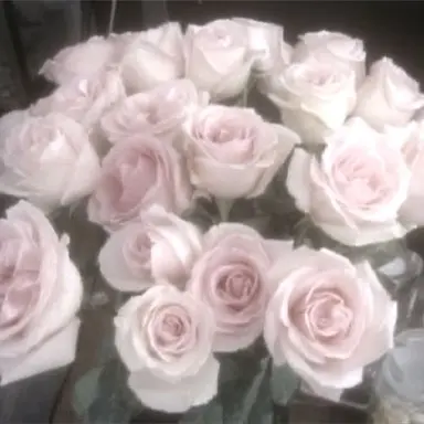 Profile image of 김민정