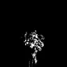 Profile image of B