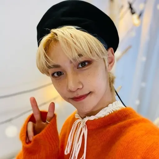 SoggyPipe8087의 필릭스