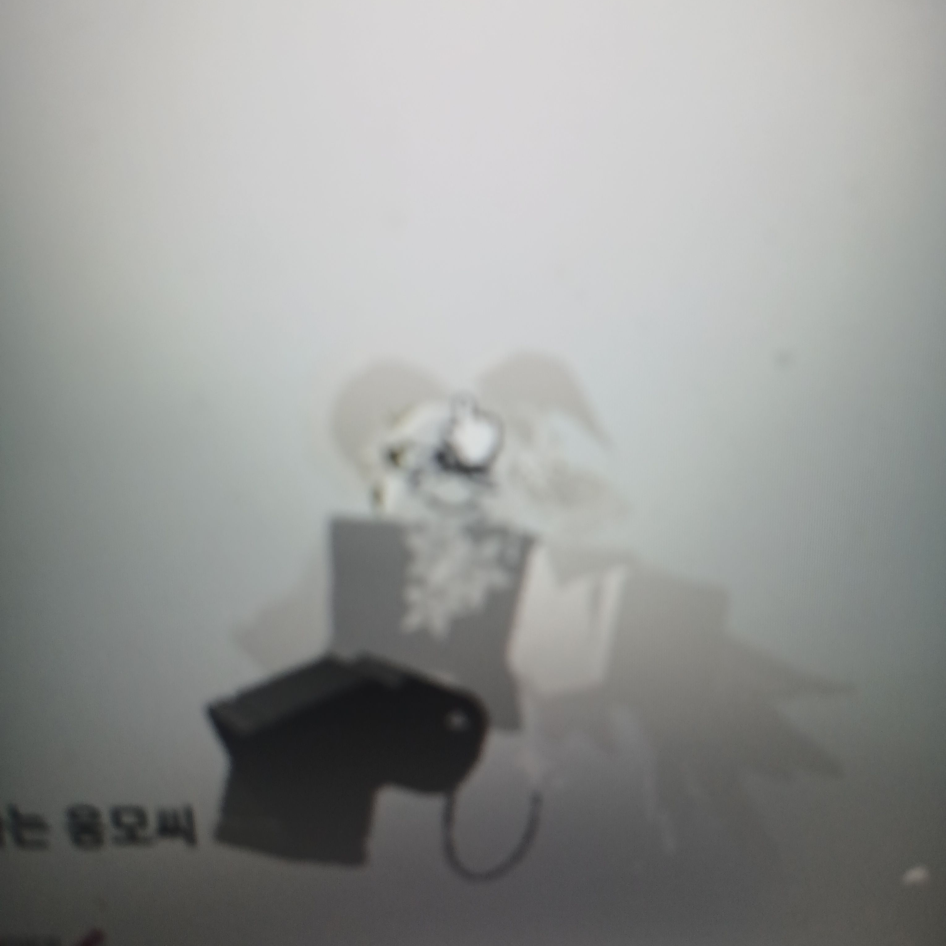 미췬 여핸 대표 이미지
