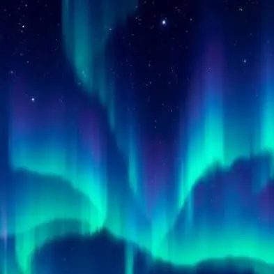 Seogene2015의 밤보눈