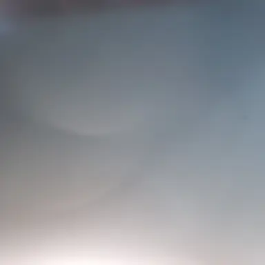 Profile image of 선생님