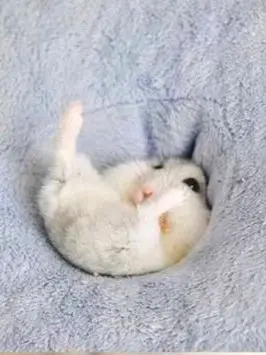 qmq_orange의 심심한 귤의 말.