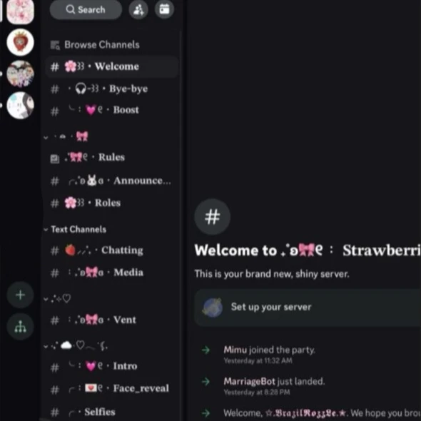 20시 디스코드에서