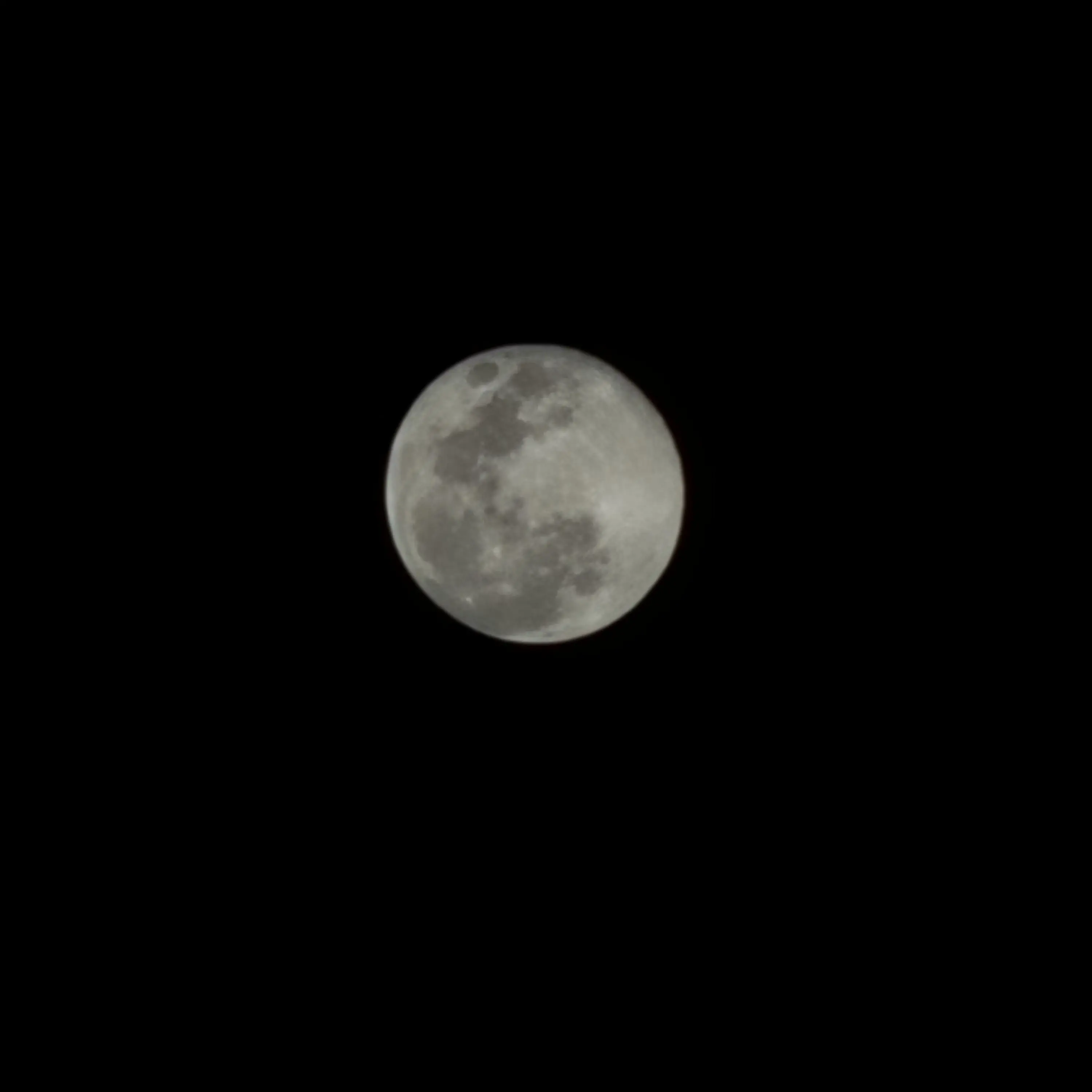 CockyLoach3882의 리레볼루션