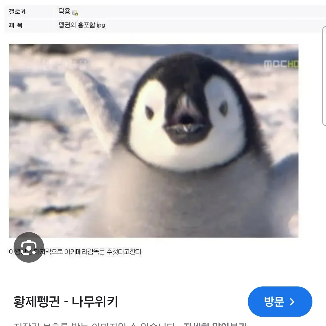 Velkypochaccong의 당신은 최초 여성  발로란트 프로게이머 입니다!
