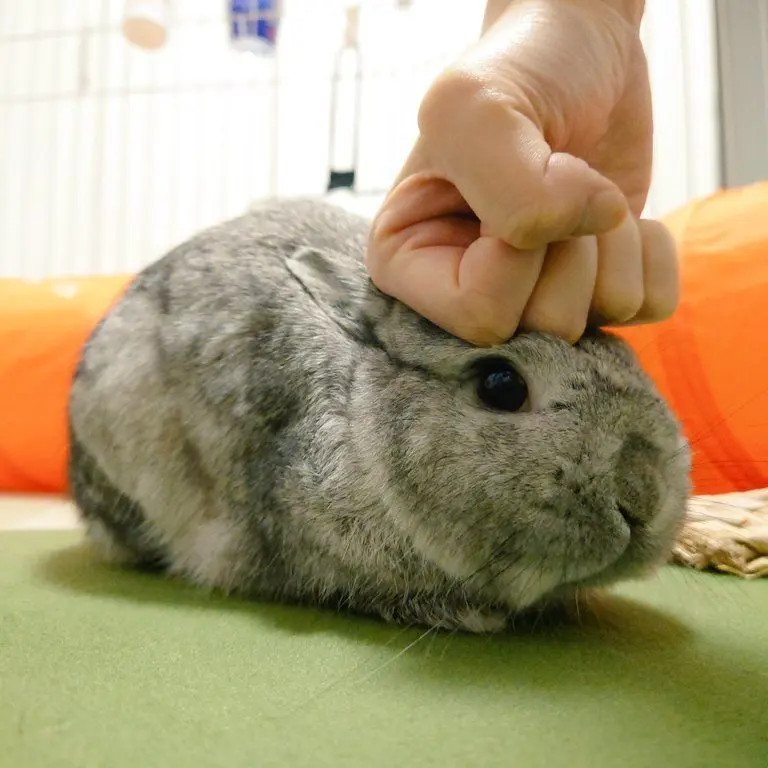 Qmffhq의 ㅡ u ㅡ