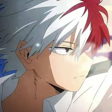 Profile image of Shoto Todoroki