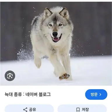Profile image of 늑대