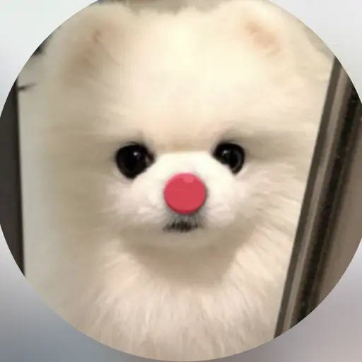 BeigeShare9526의 밑흑이