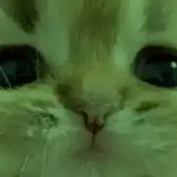 Profile image of 여웅