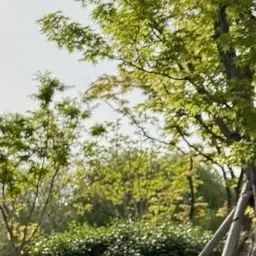 Profile image of 박지원