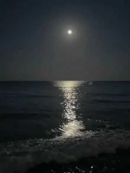 potadesu.의 愛のカタチ