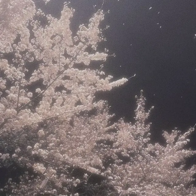 ONLY_IVANTILL의 이반