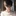 양선우