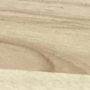 임선아