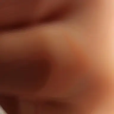 Profile image of 다른메이드들