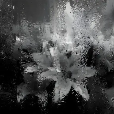 Profile image of 반이연