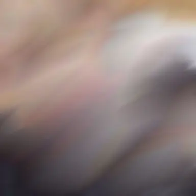 Profile image of ひょんじん