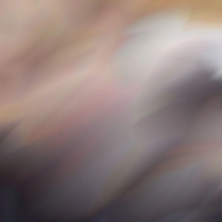 ジニ