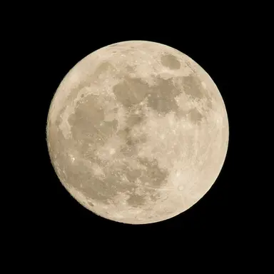 Profile image of 크로노 가디언