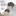 유 백 하