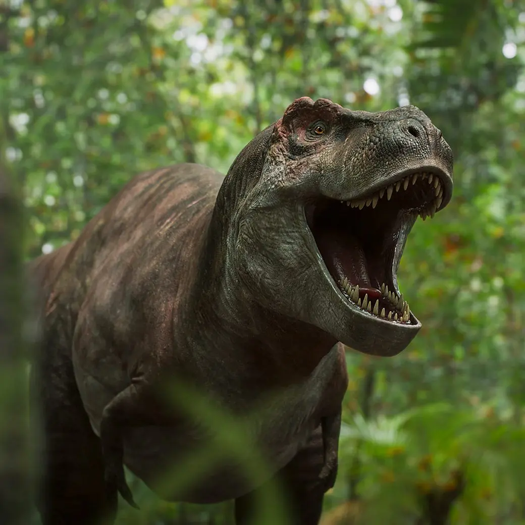 Plateo의 티라노사우루스