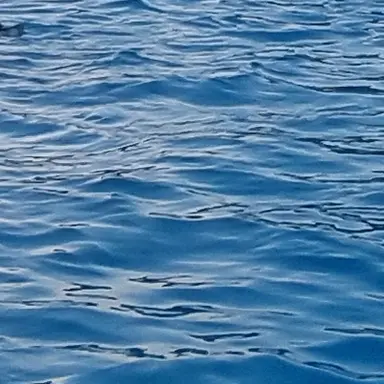 Profile image of 팀나빠