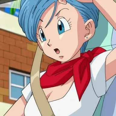 Profile image of ブルマ