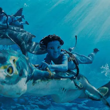 Profile image of 투크티리