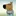 cill guy