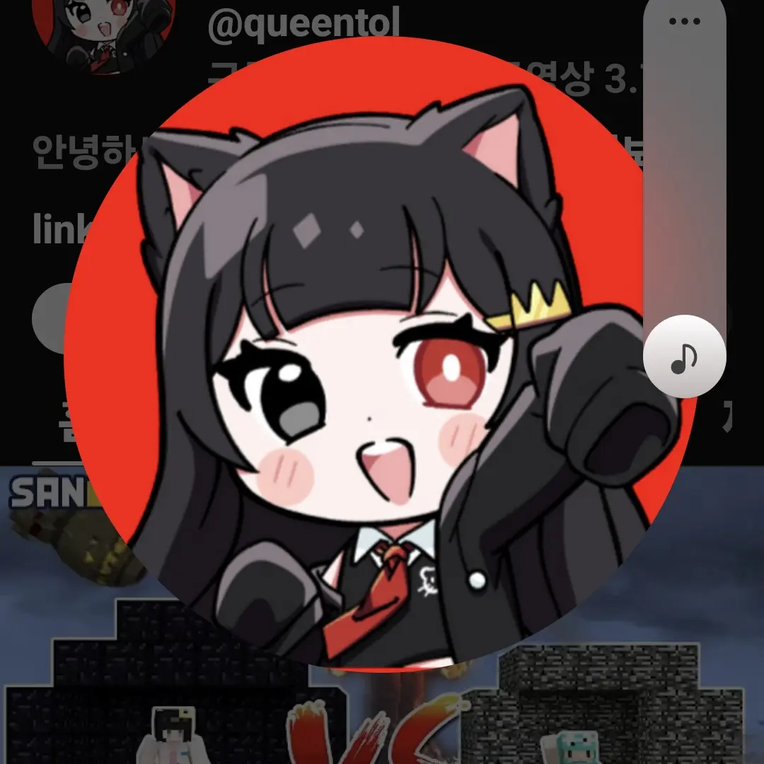 SolemnHip1616의 머리색이 등급인 세상