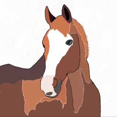 Profile image of The Horses