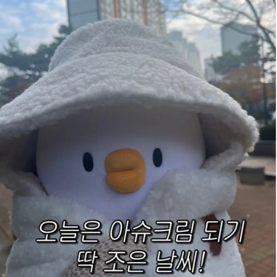IndigoGecko6898의 똥삐또씨